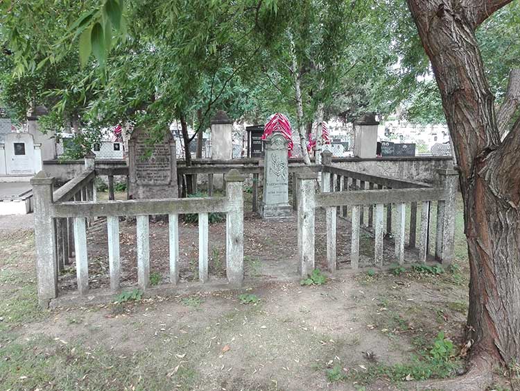 гробна места доктора Александра Ђурића и доктора Џејмса Донелија