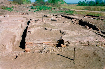 “Црквине – баре”, село Скобаљ (КО Лајковац) – остаци villae rusticae, крај III – IV век.